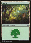Forest (074)