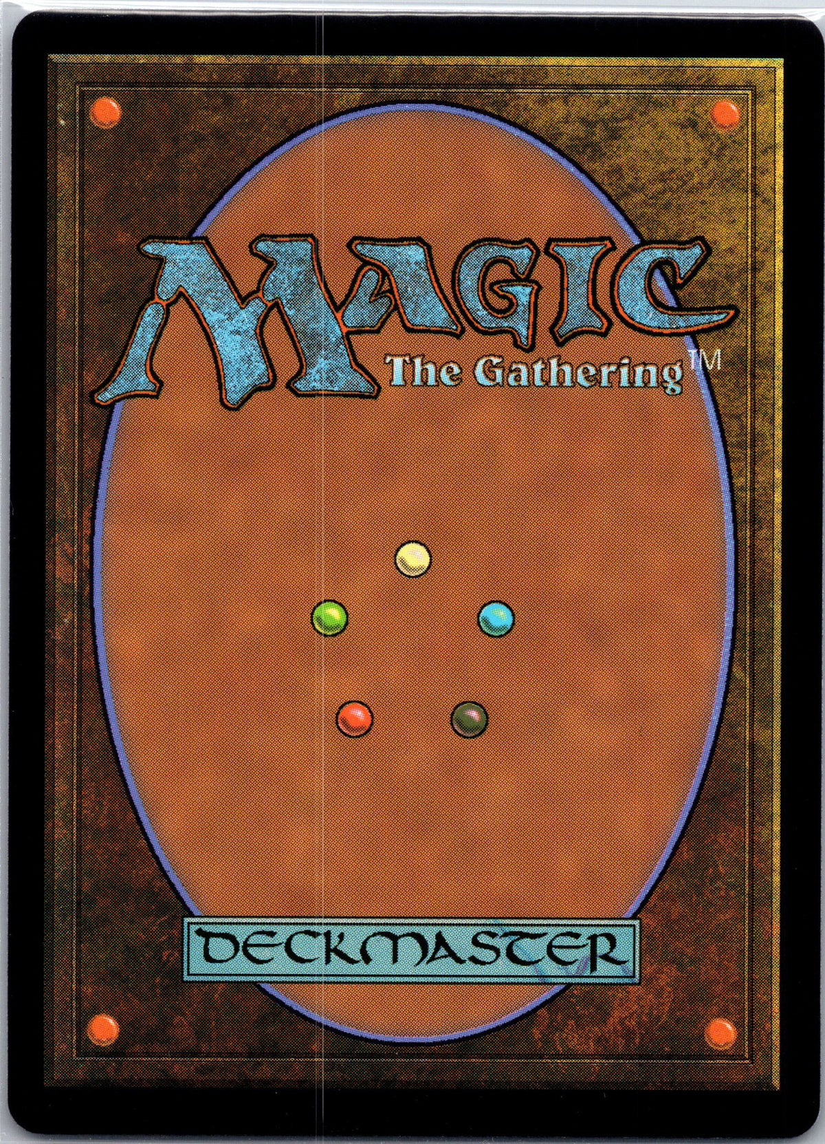 Swashbuckler's Whip (Back)