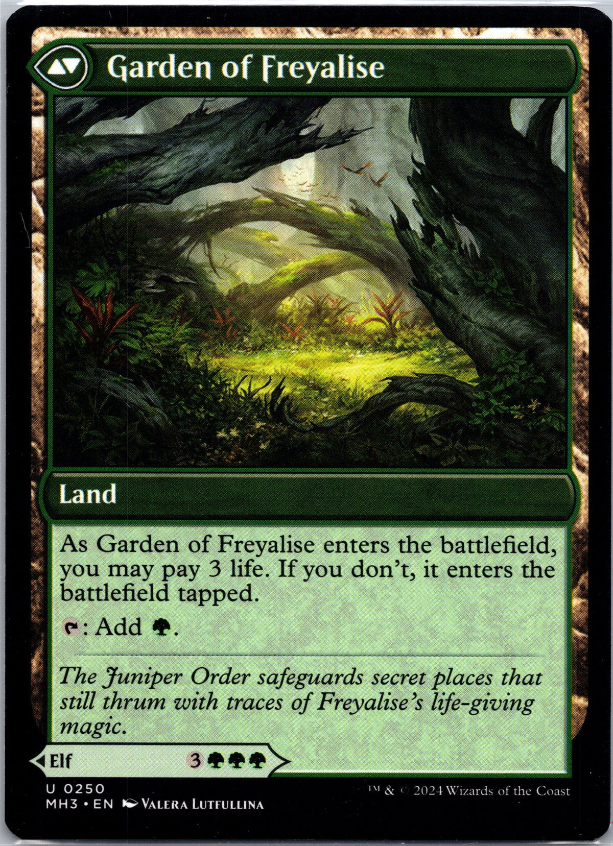 Disciple of Freyalise (Back)