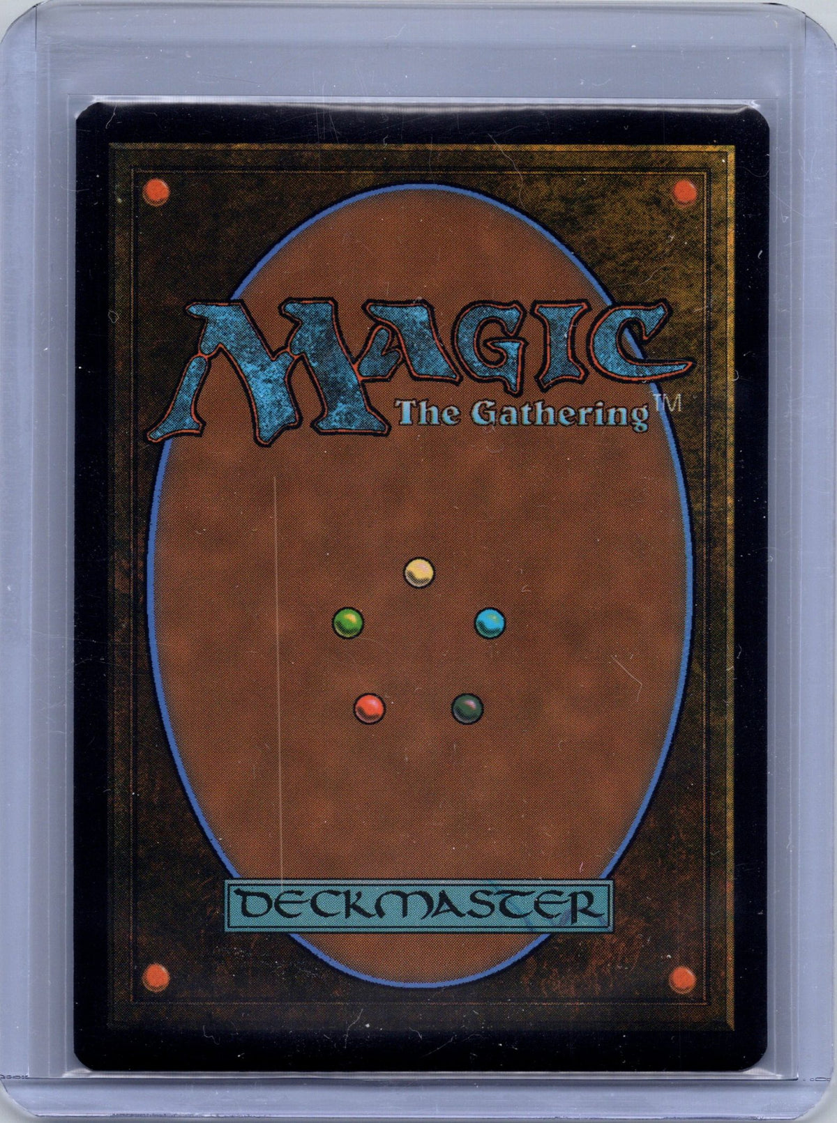 Evolving Wilds (Back)