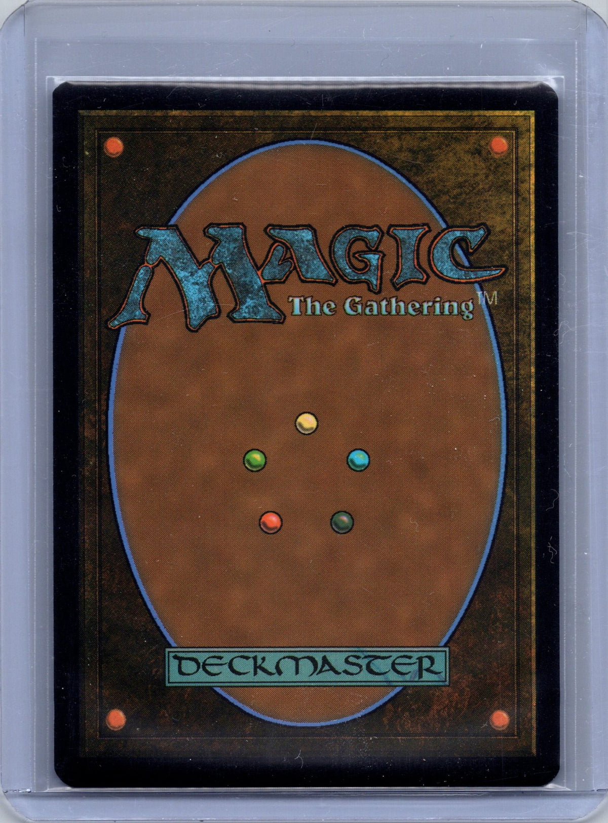 Evolving Wilds (Back)