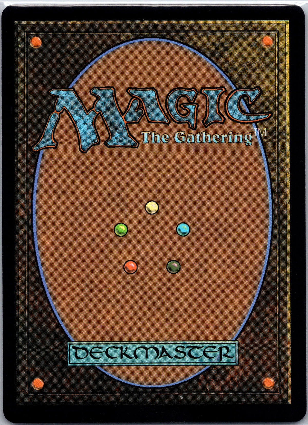 Sun-Dappled Celebrant (Back)