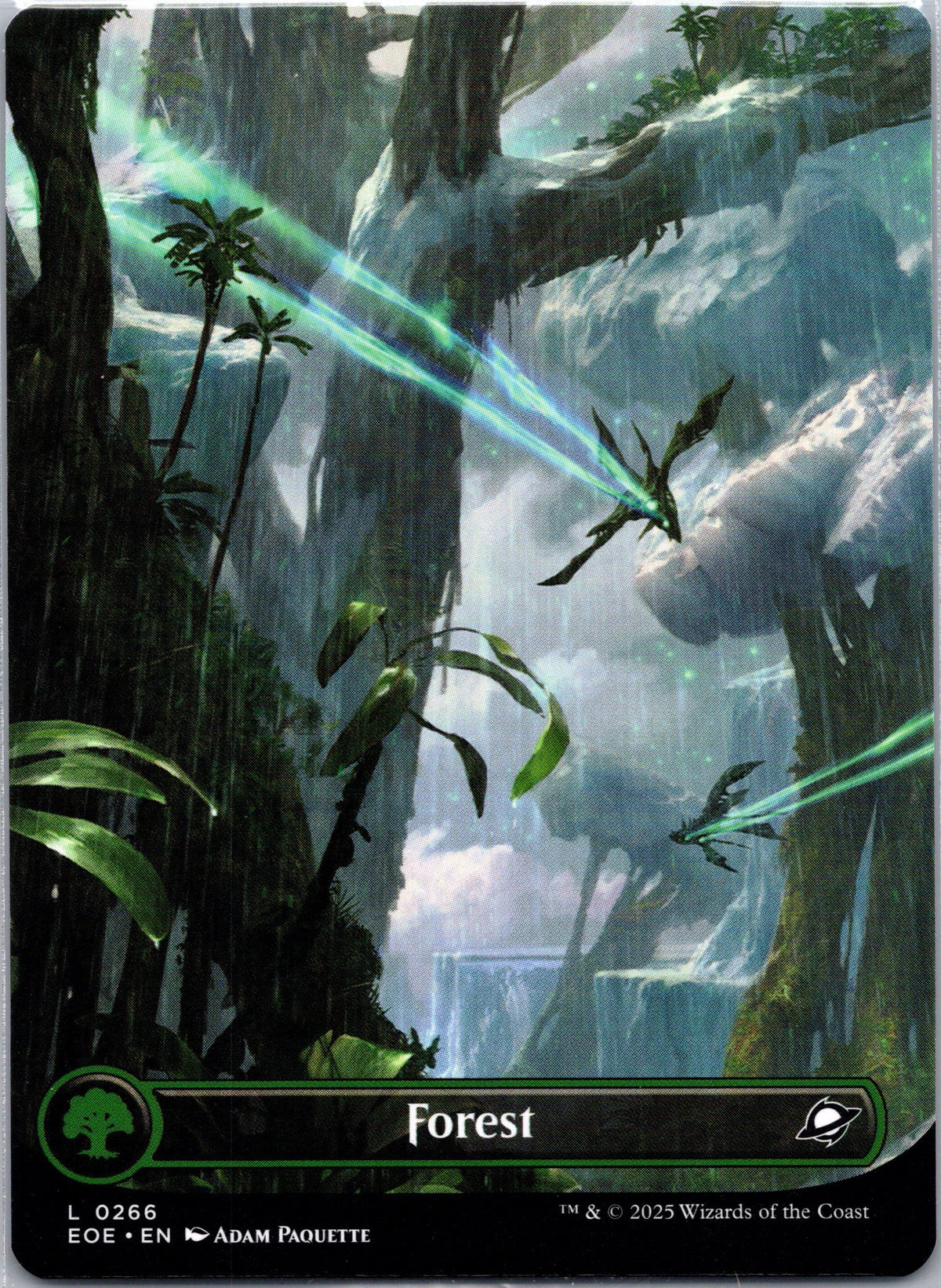 Forest (0266) (Borderless)
