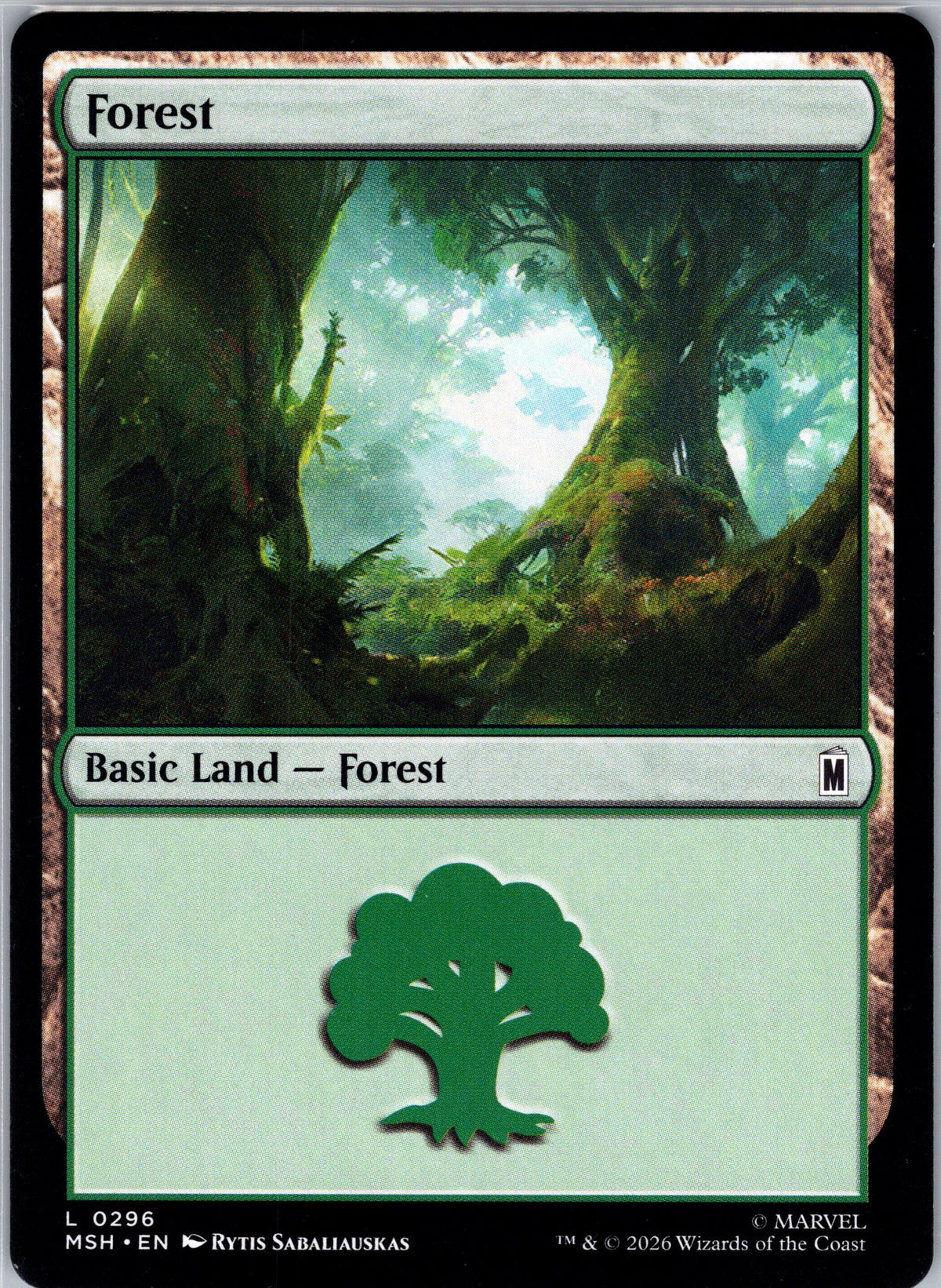 Forest (0296)