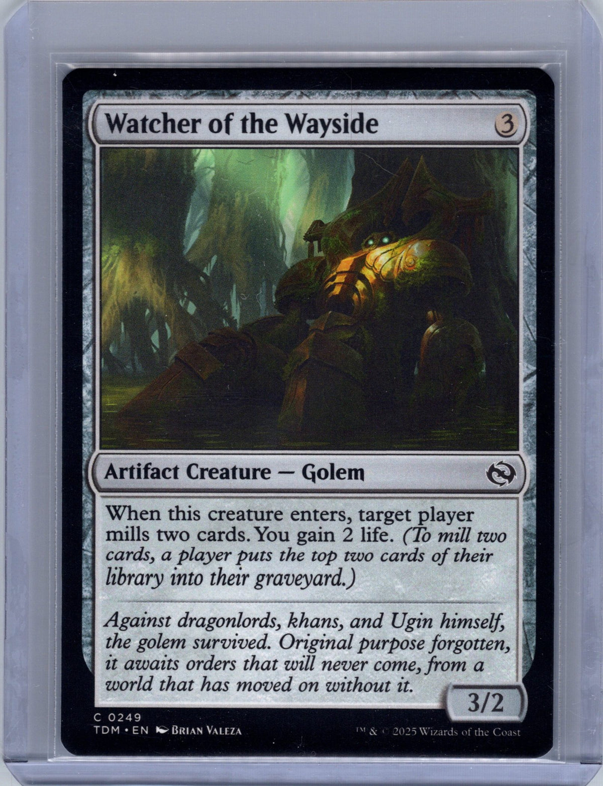 Watcher of the Wayside