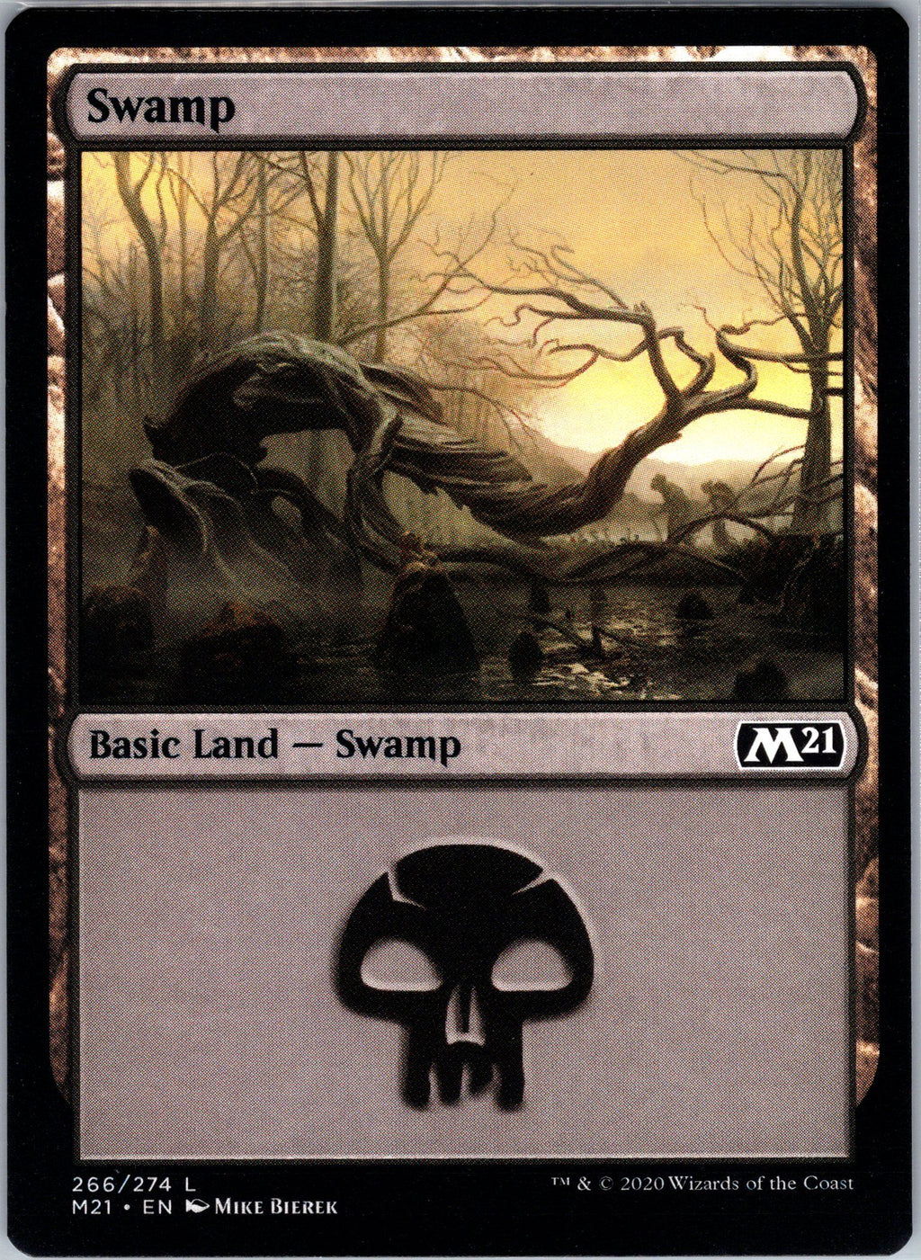 Swamp
