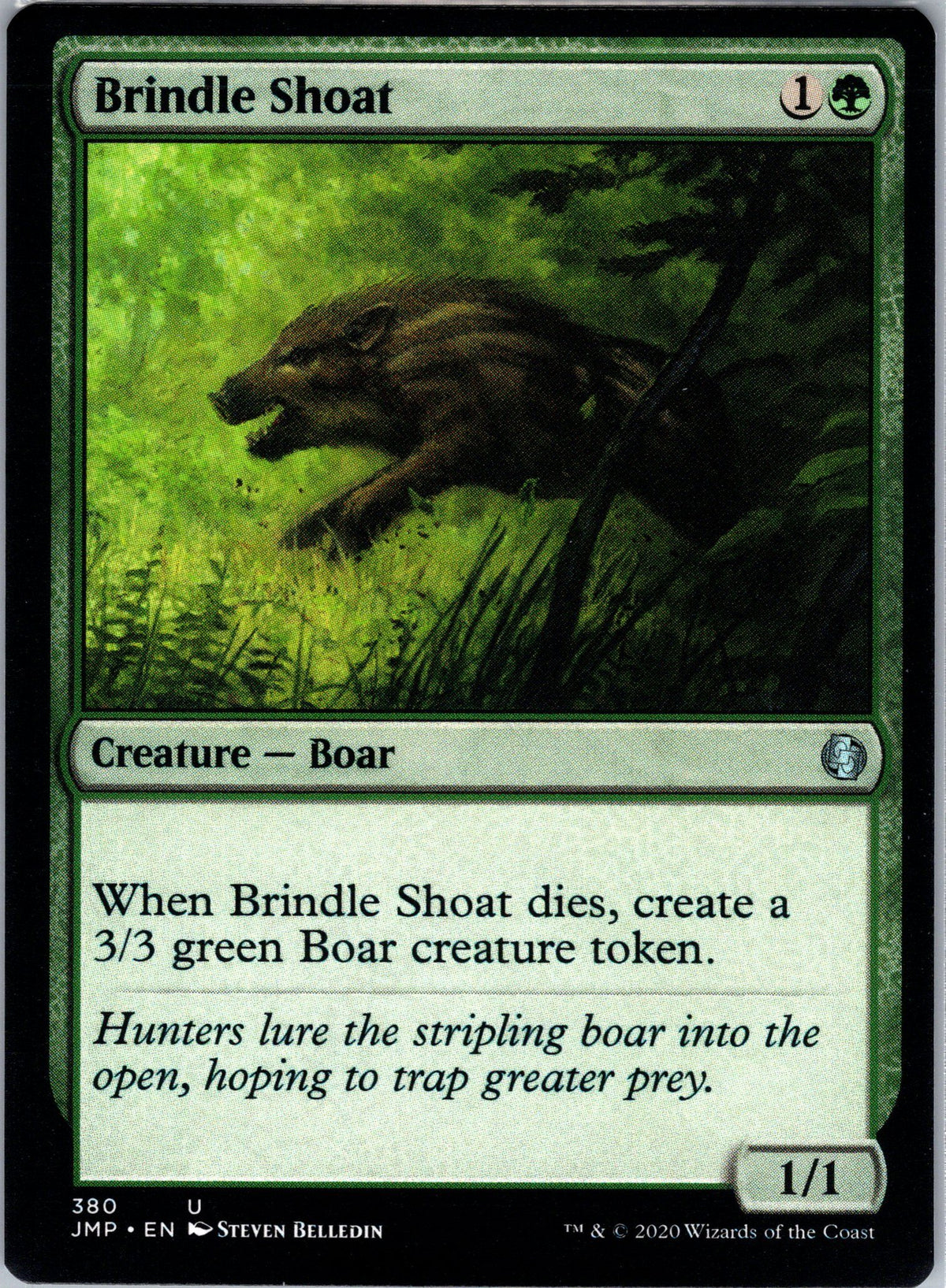 Brindle Shoat