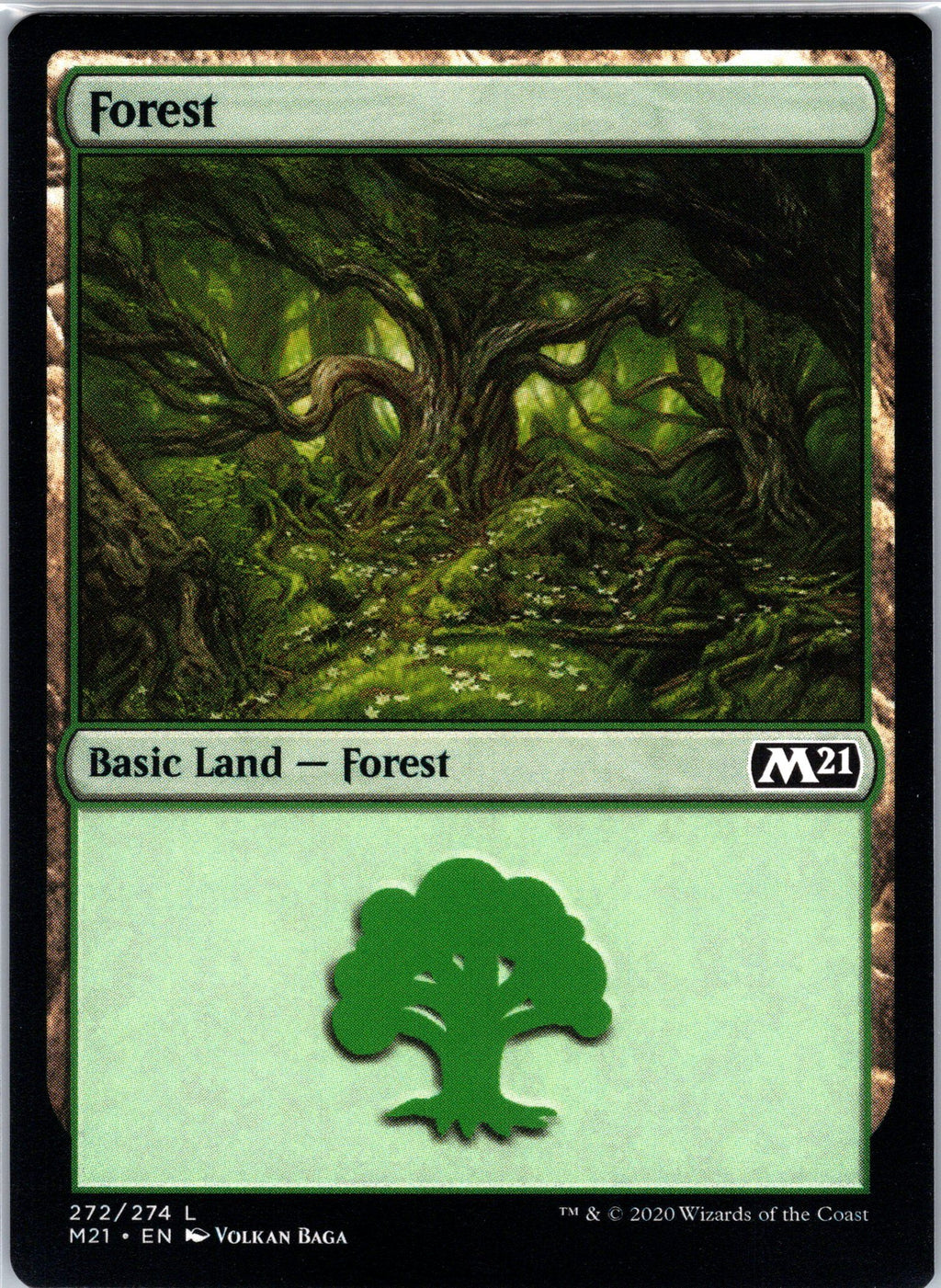 Forest (272)