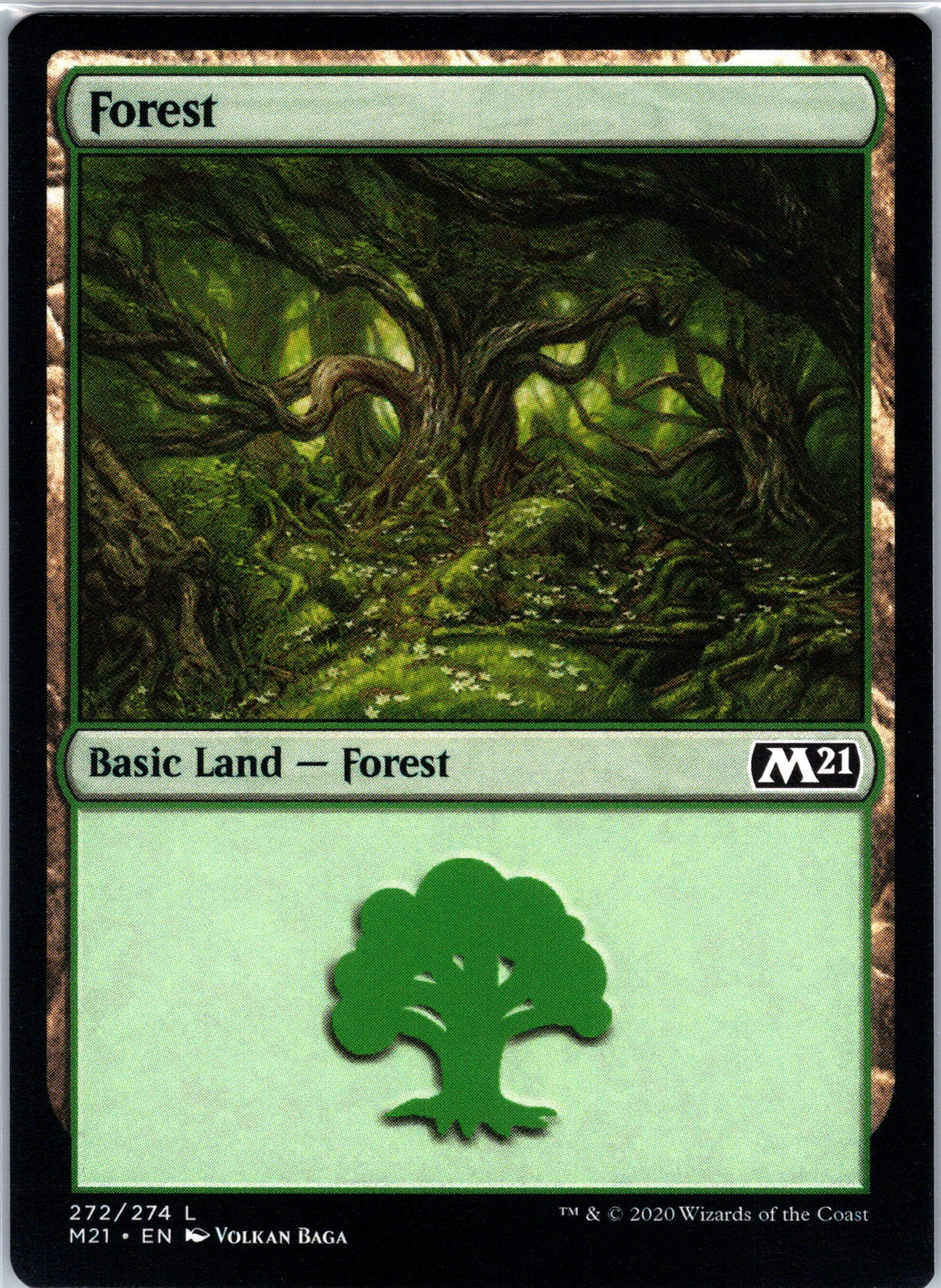 Forest (272)