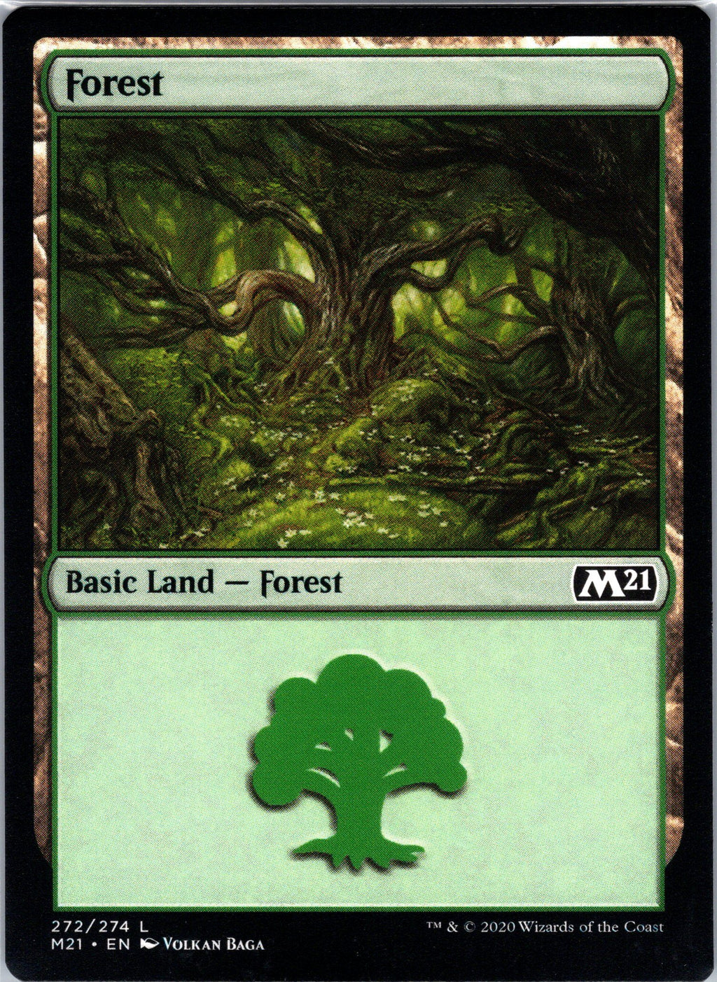 Forest (272)
