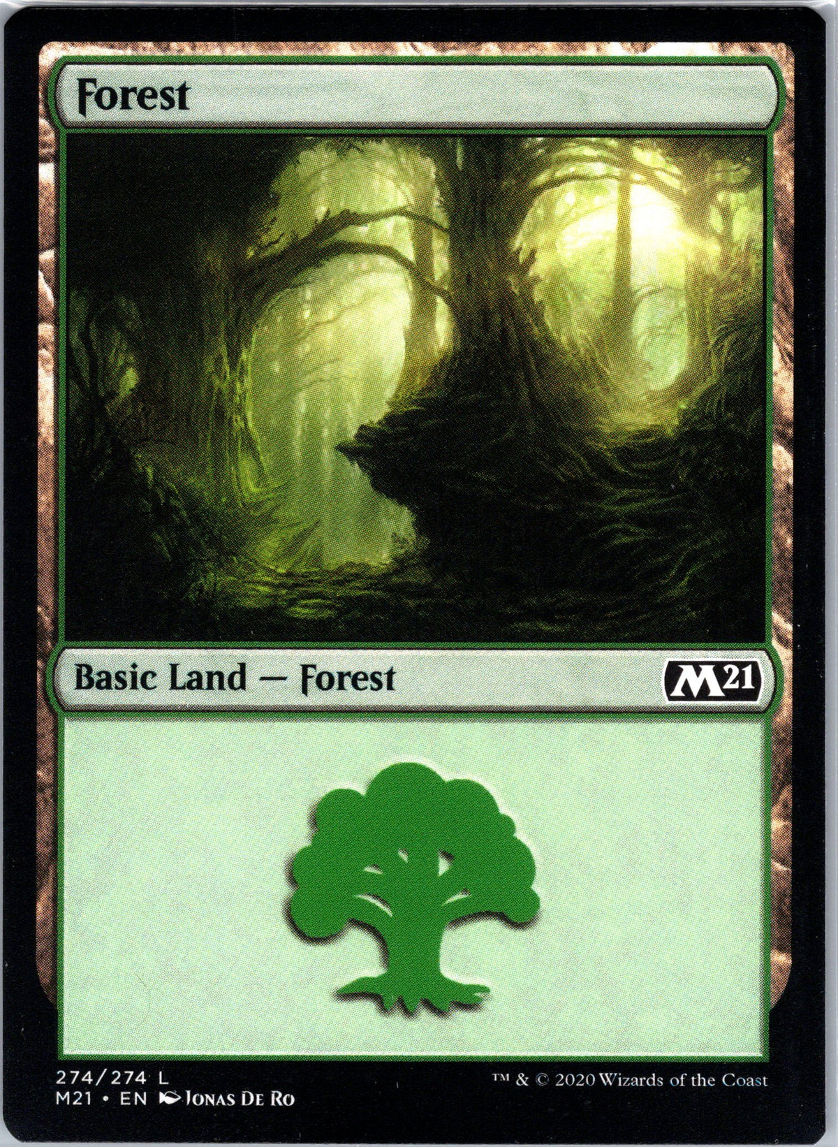 Forest (274)