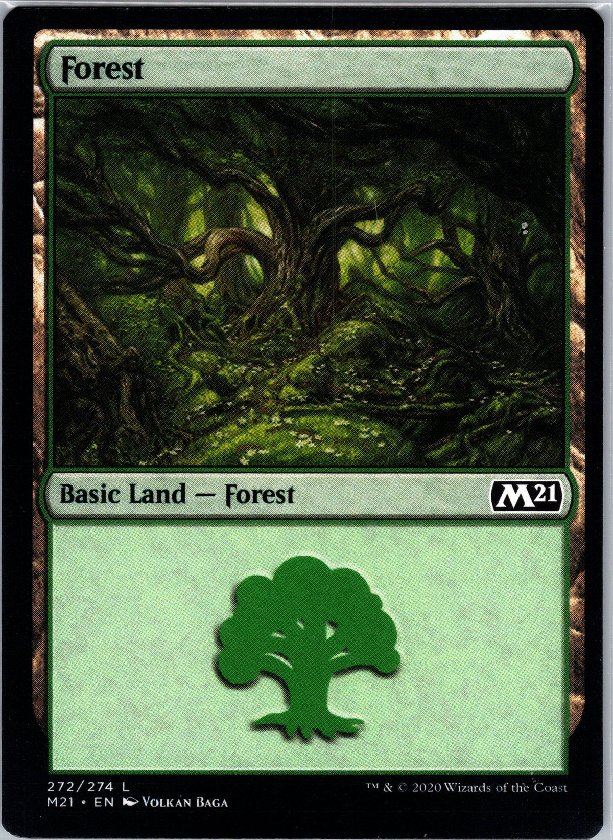 Forest (272)