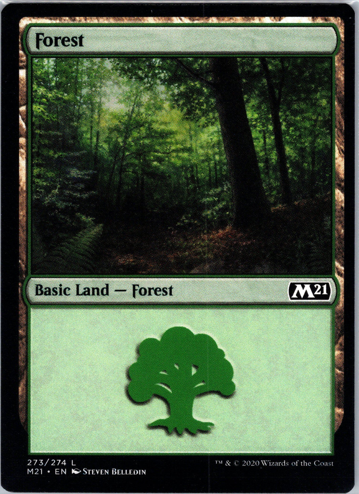 Forest (273)