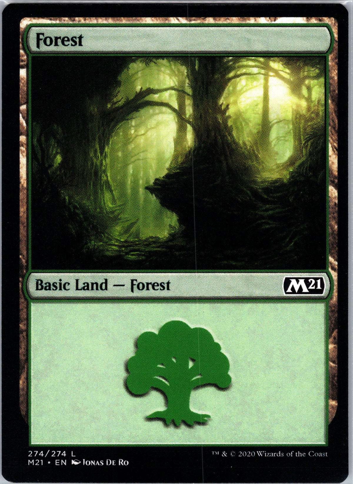 Forest (274)