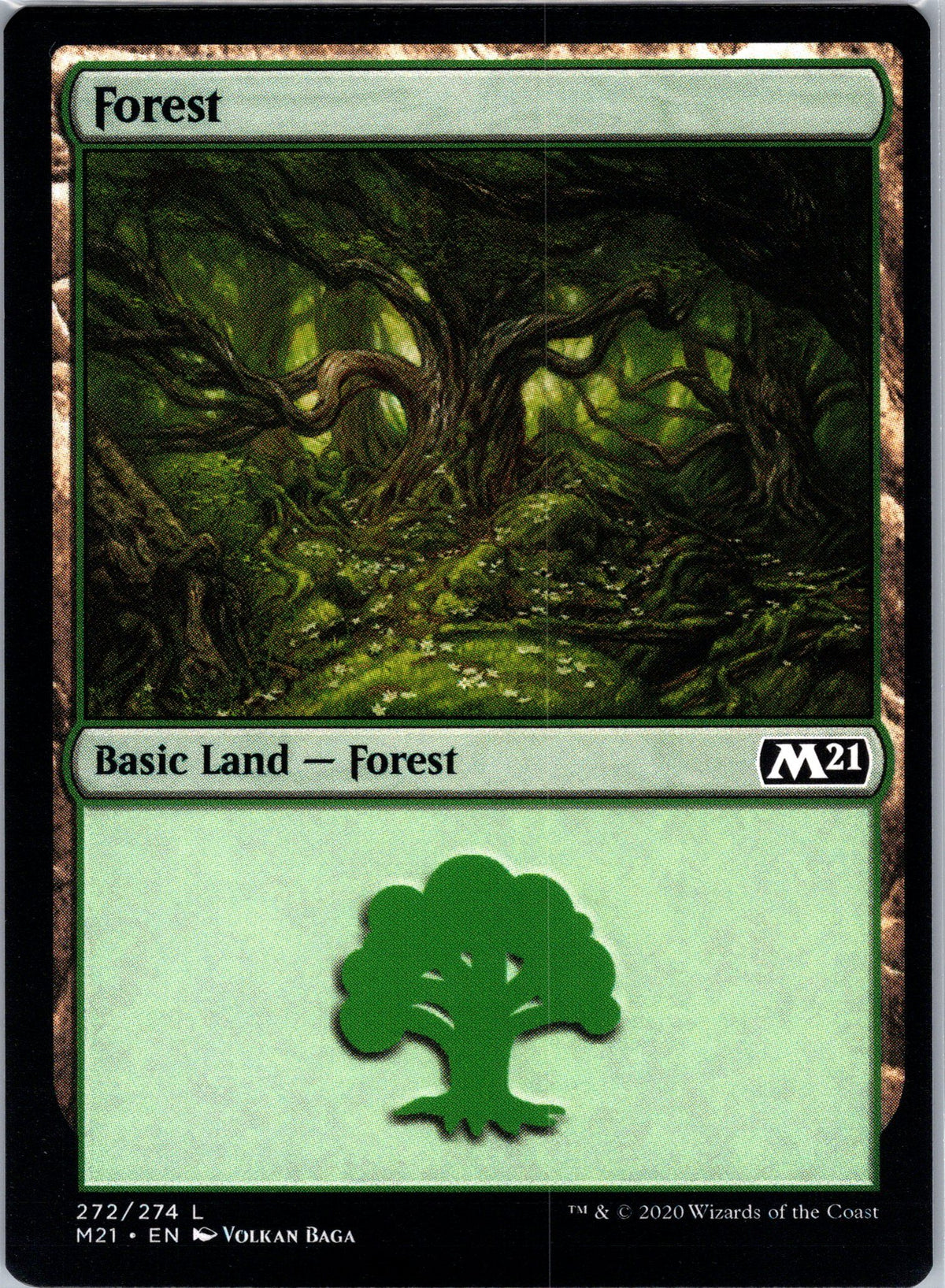 Forest (272)