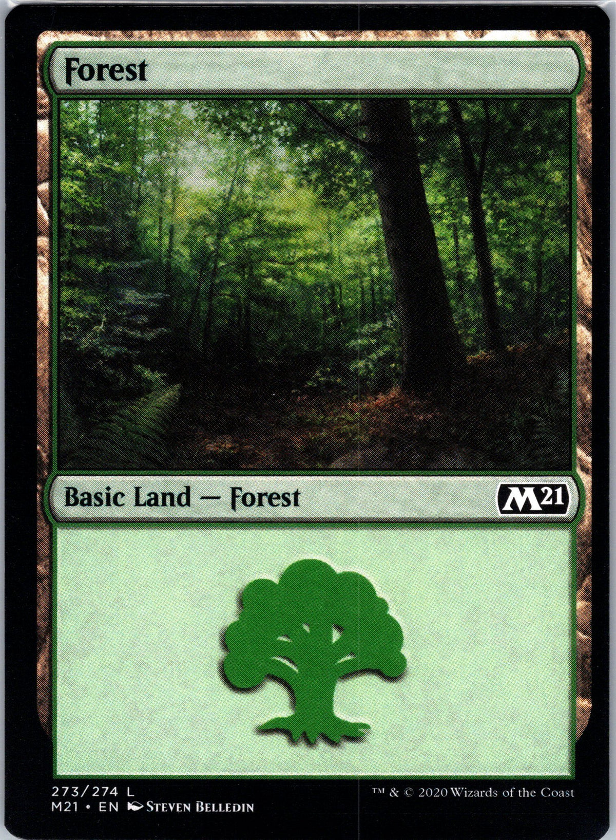 Forest (273)