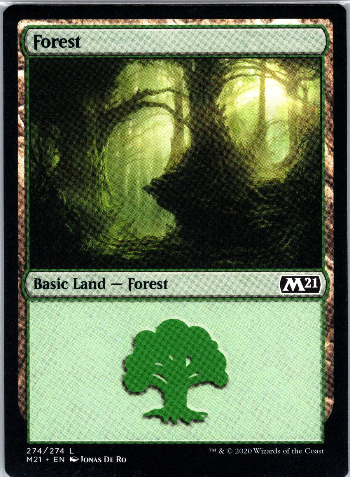 Forest (274)