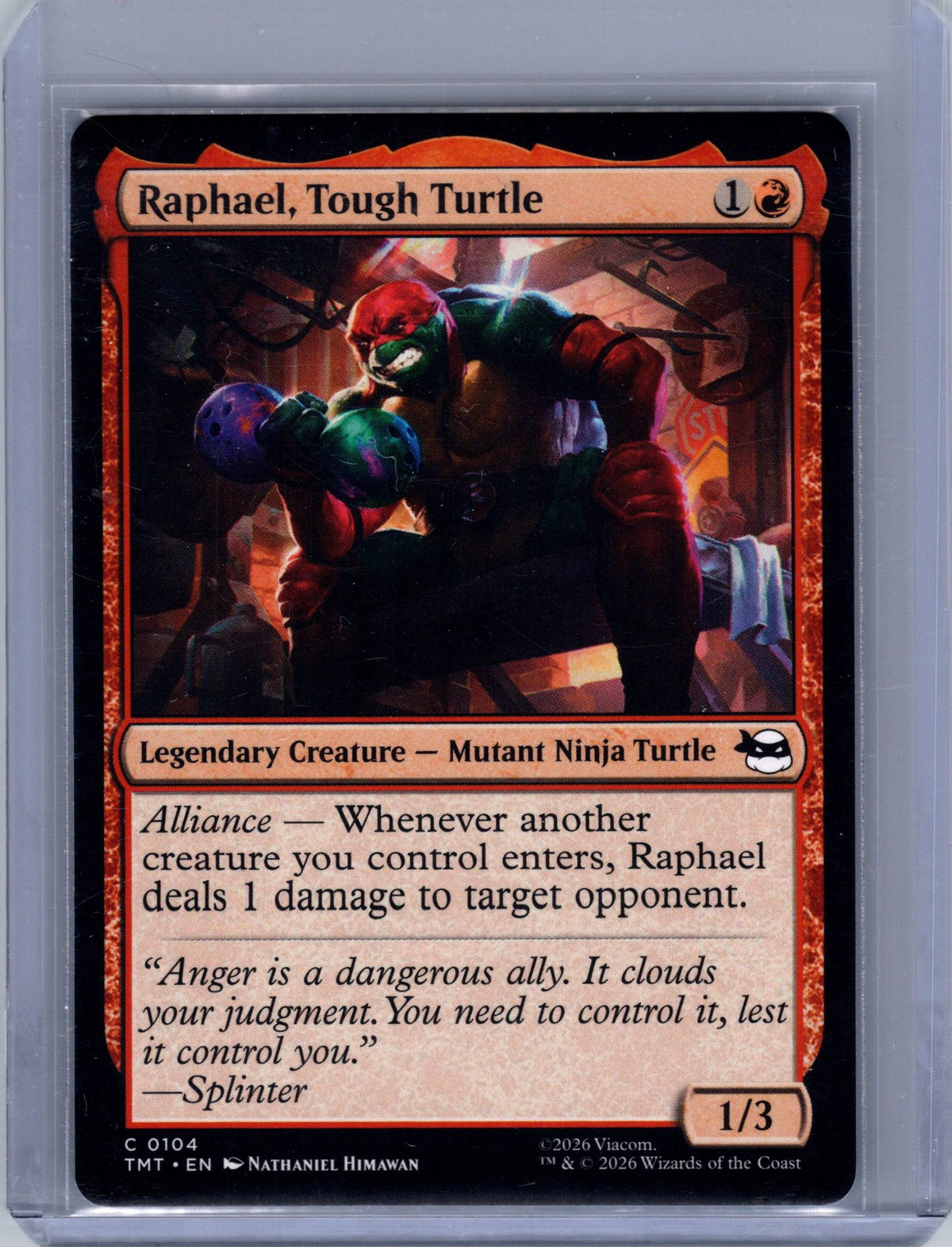Raphael, Tough Turtle
