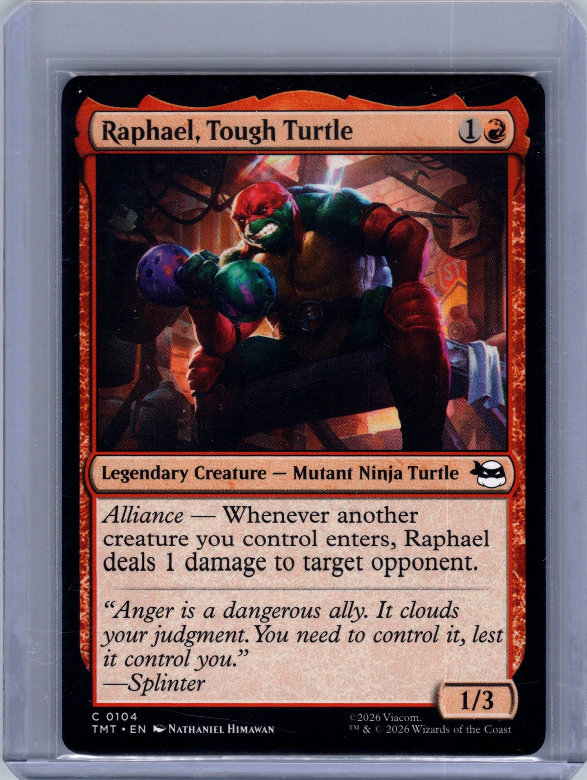 Raphael, Tough Turtle