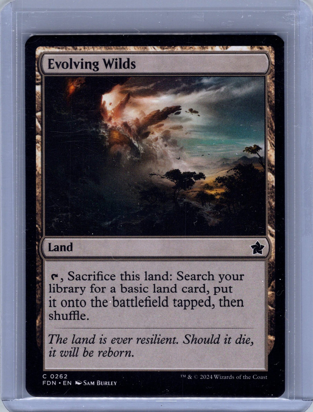 Evolving Wilds