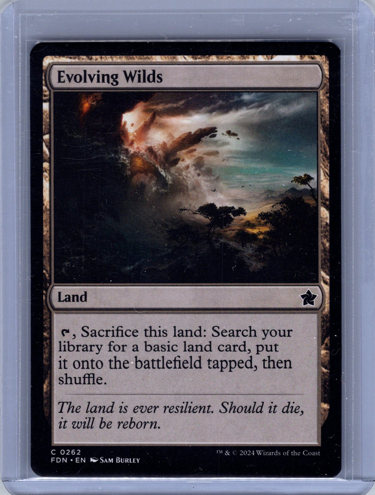 Evolving Wilds