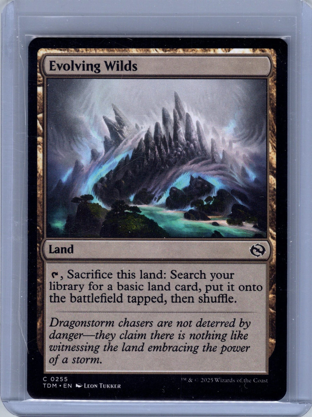 Evolving Wilds