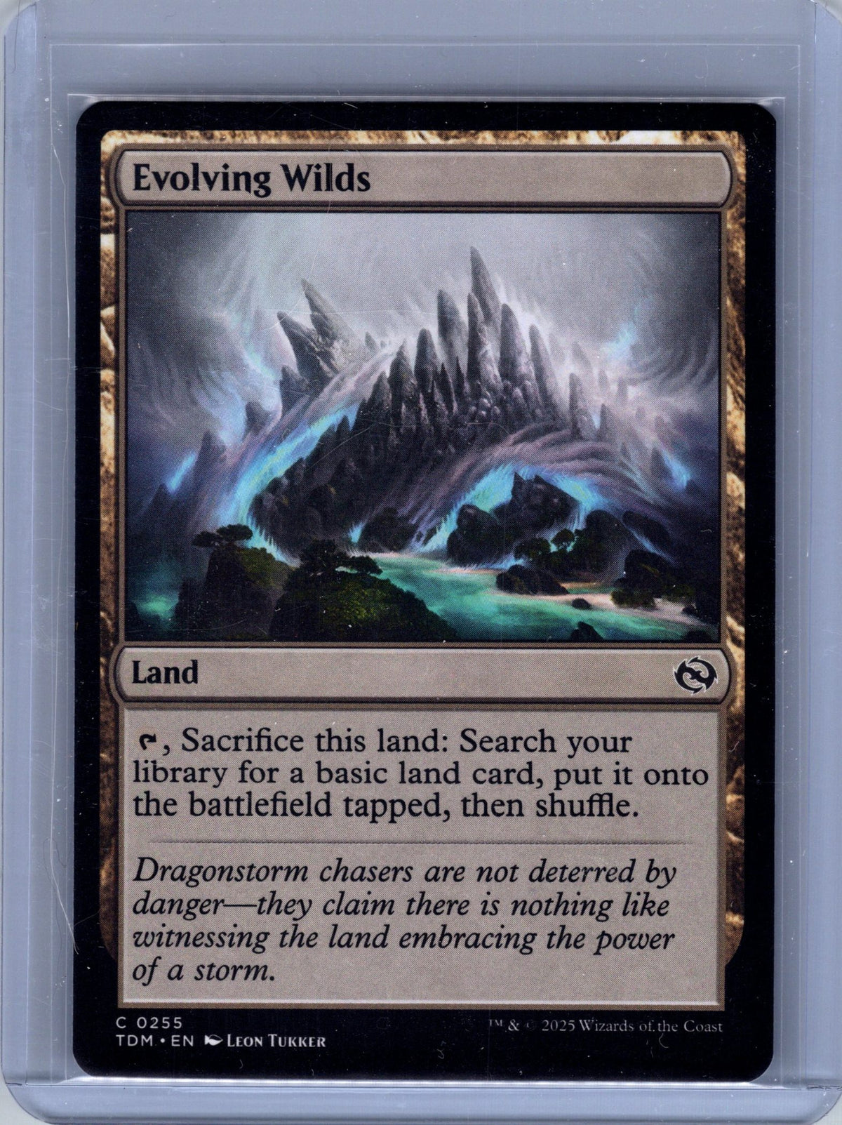 Evolving Wilds
