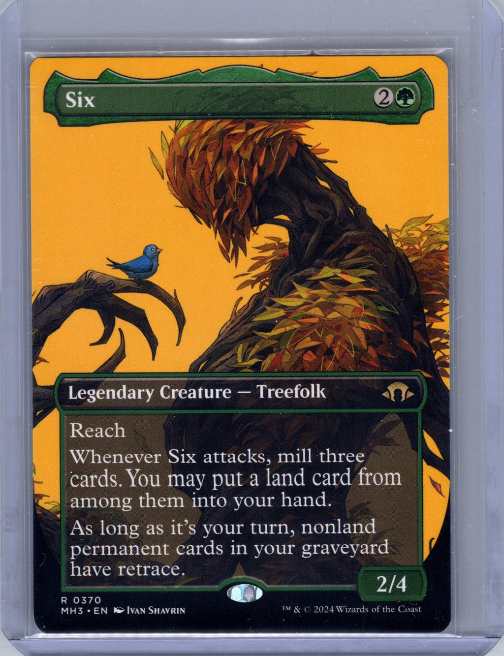 Six (Borderless)