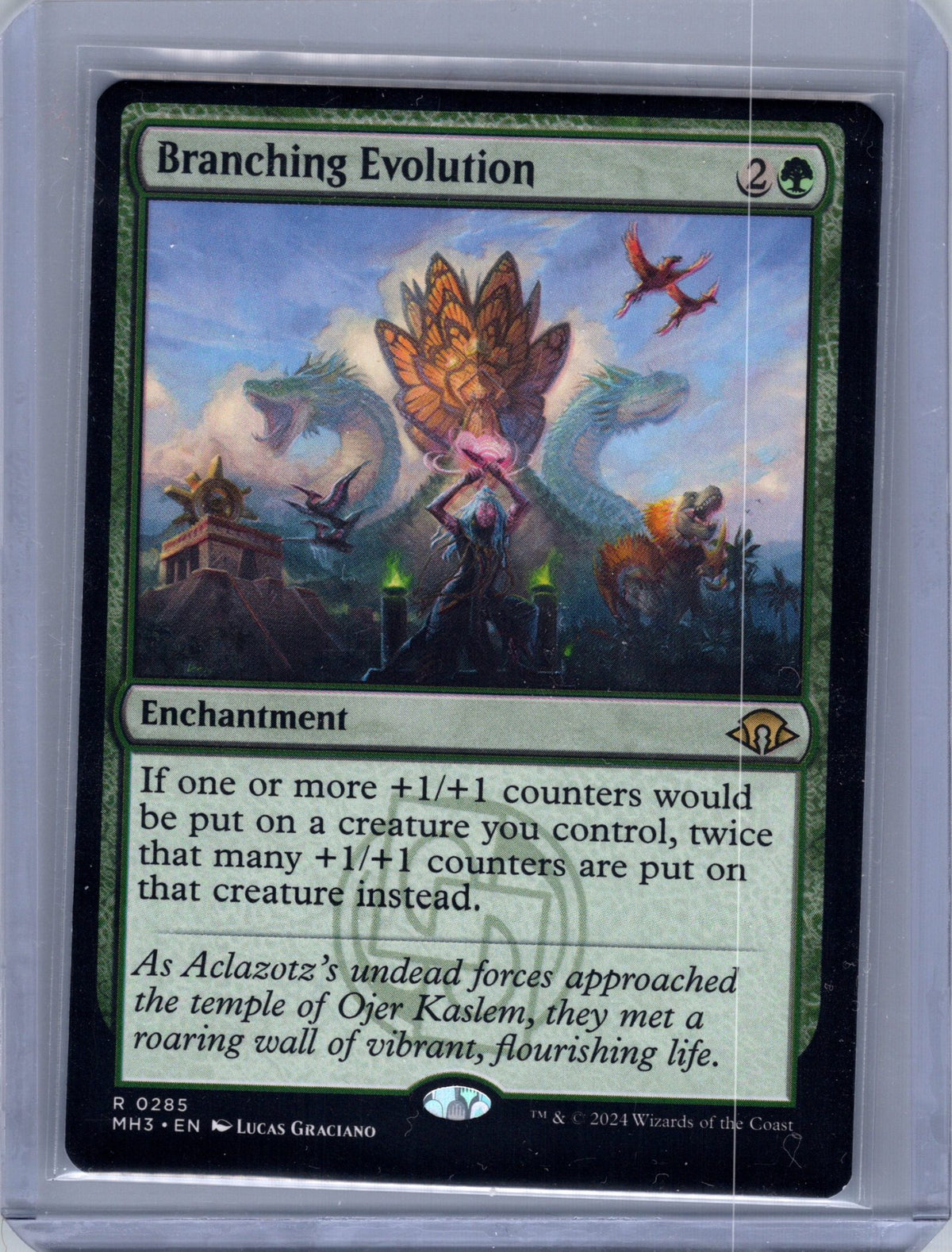 Branching Evolution