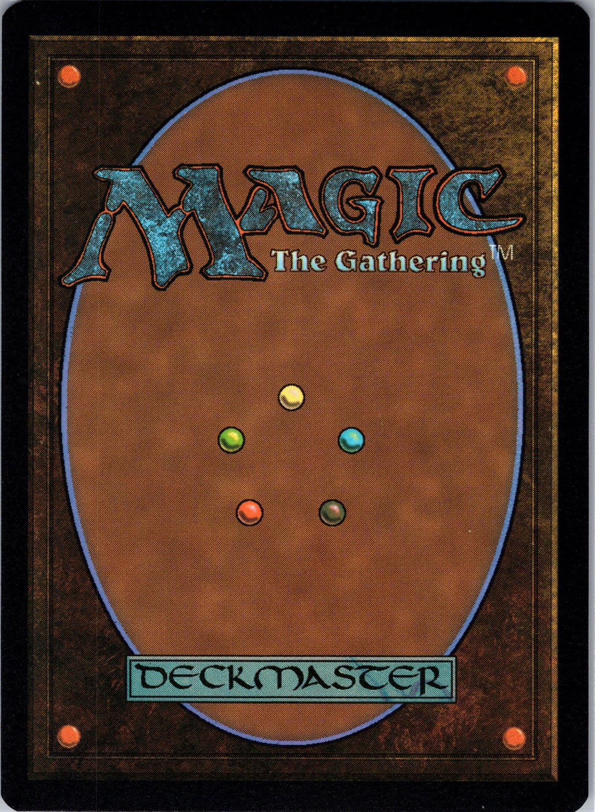 Stormcarved Coast (Back)